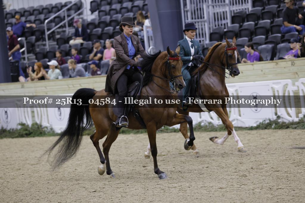 Proof 25R13_04584