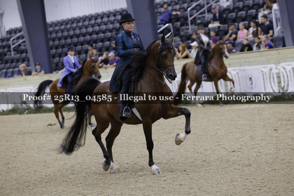 Proof 25R13_04585