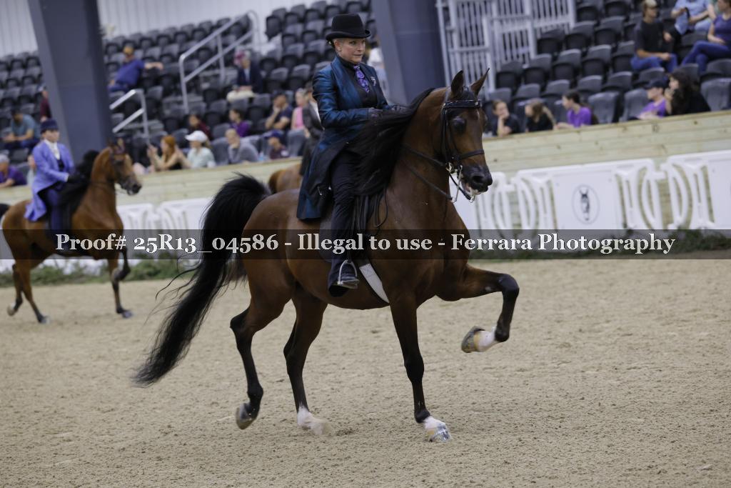 Proof 25R13_04586