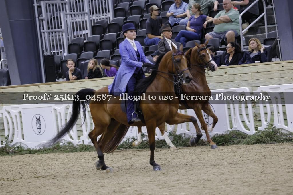 Proof 25R13_04587