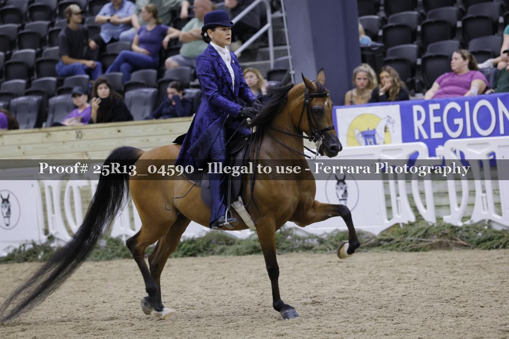 Proof 25R13_04590