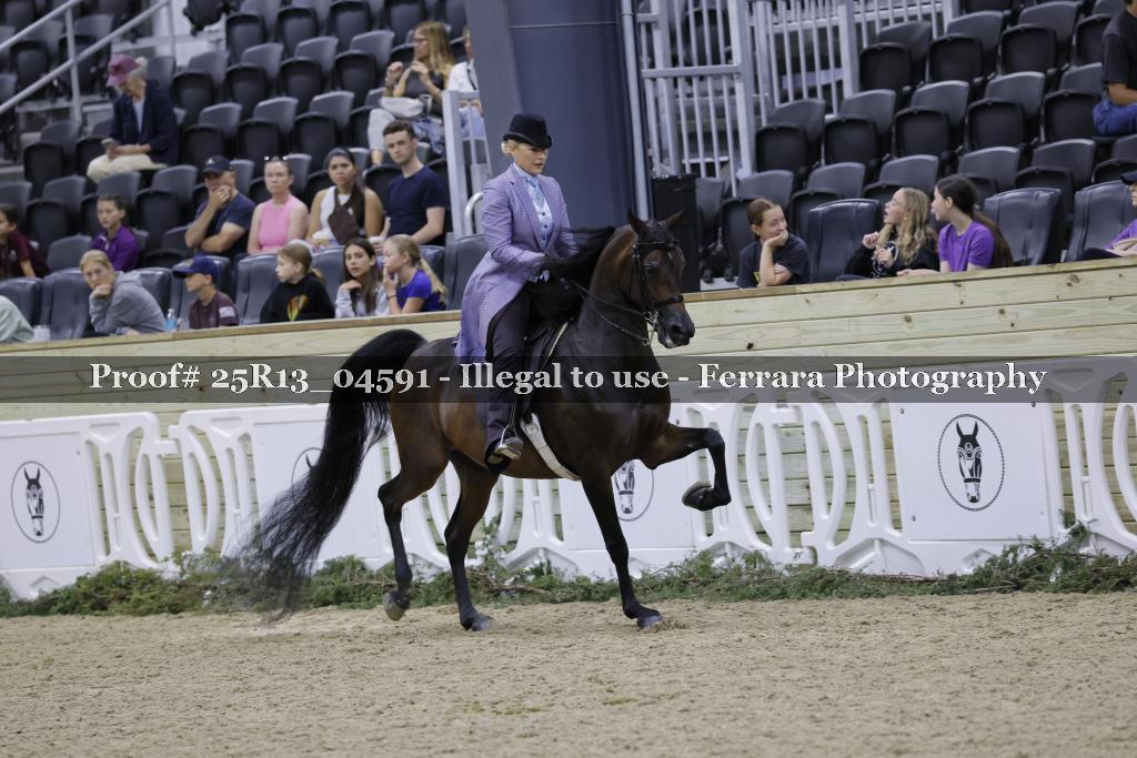 Proof 25R13_04591