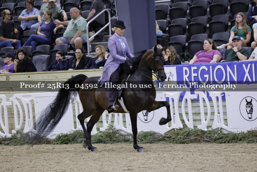 Proof 25R13_04592