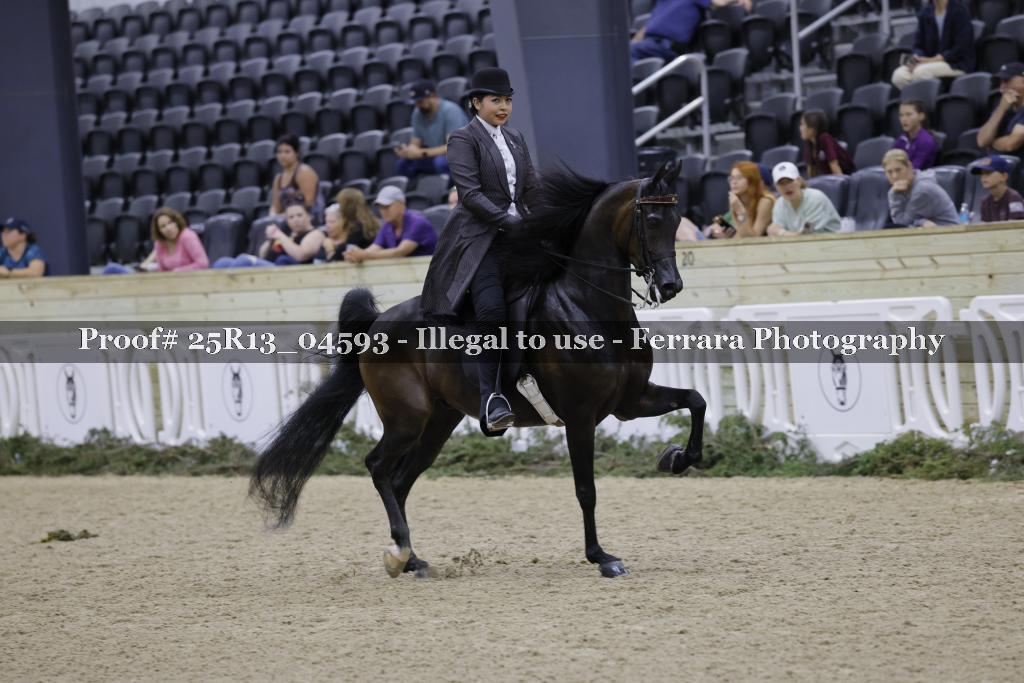 Proof 25R13_04593