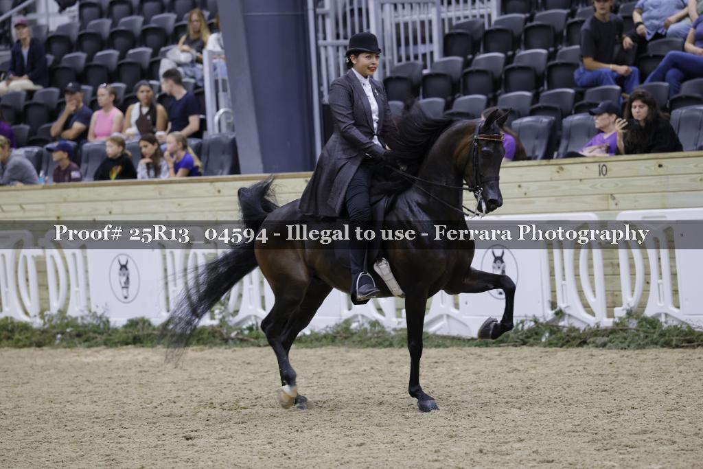 Proof 25R13_04594