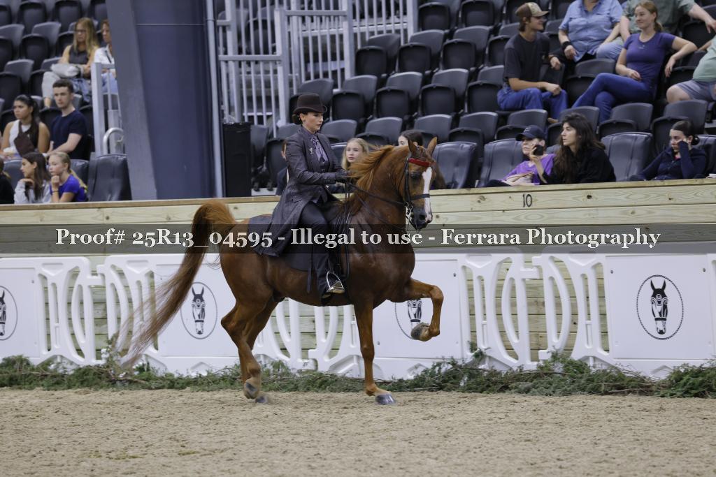 Proof 25R13_04595