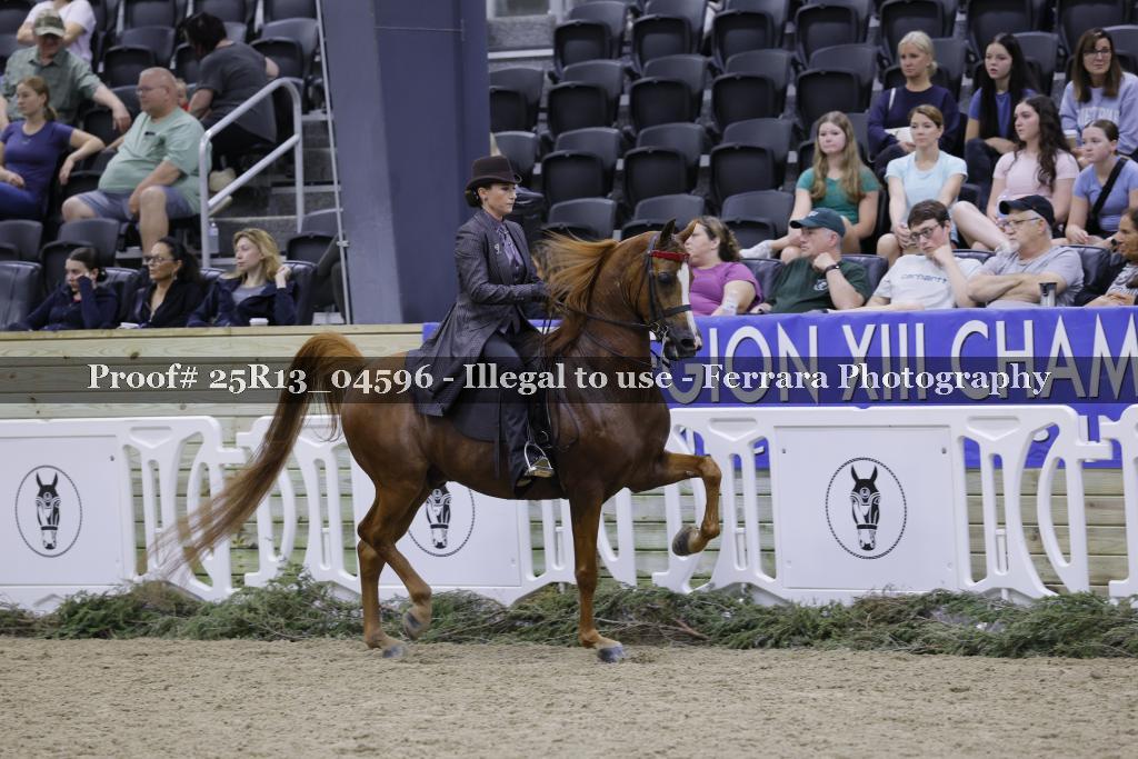Proof 25R13_04596