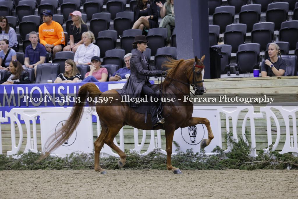 Proof 25R13_04597