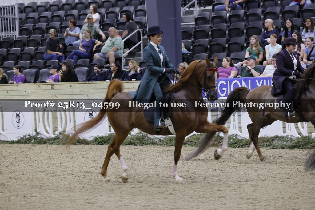 Proof 25R13_04599