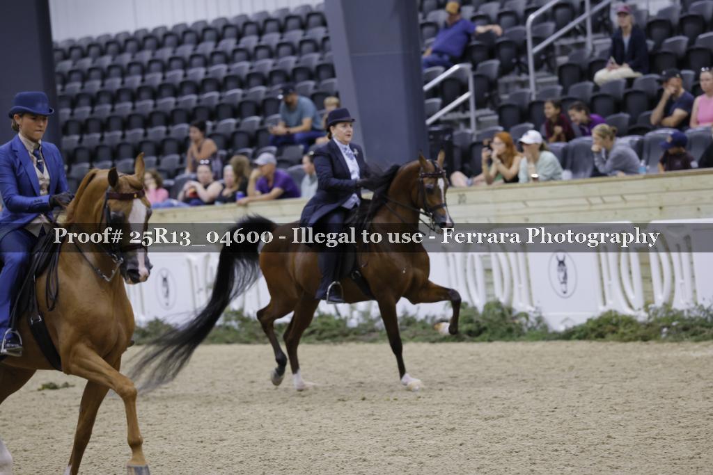 Proof 25R13_04600