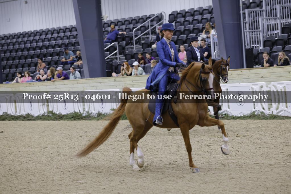 Proof 25R13_04601