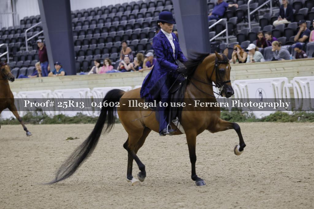 Proof 25R13_04602
