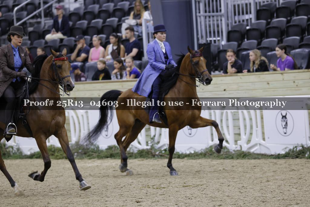 Proof 25R13_04603