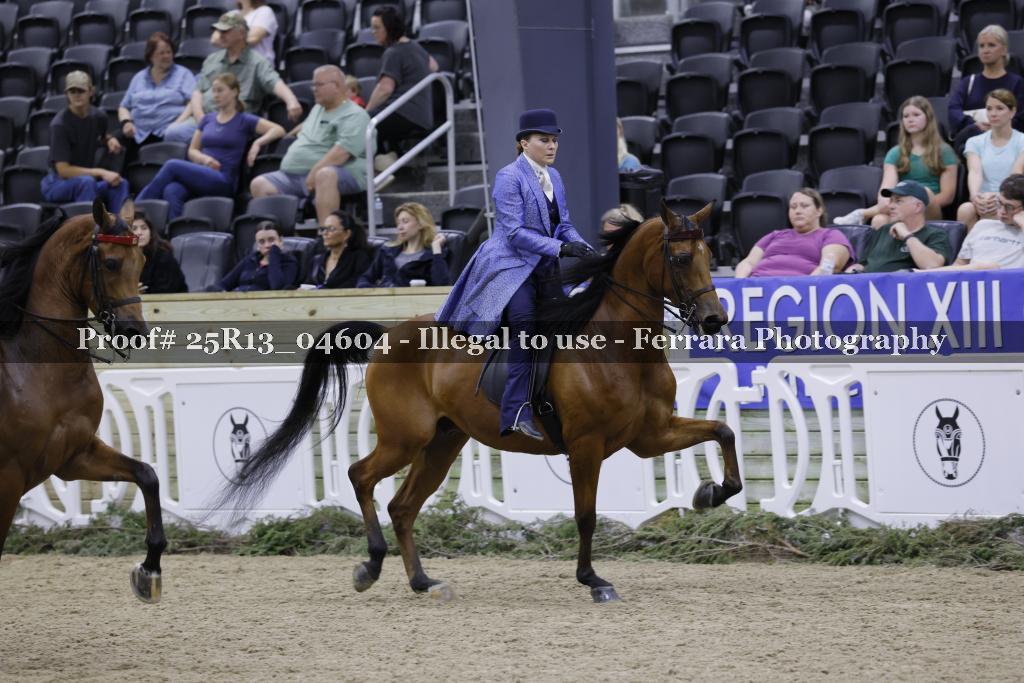 Proof 25R13_04604