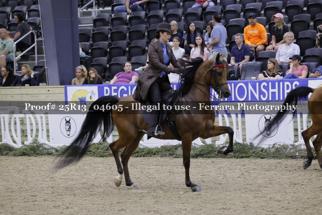 Proof 25R13_04605