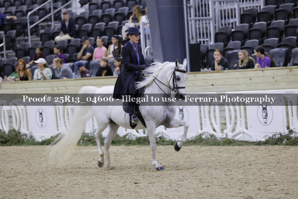 Proof 25R13_04606