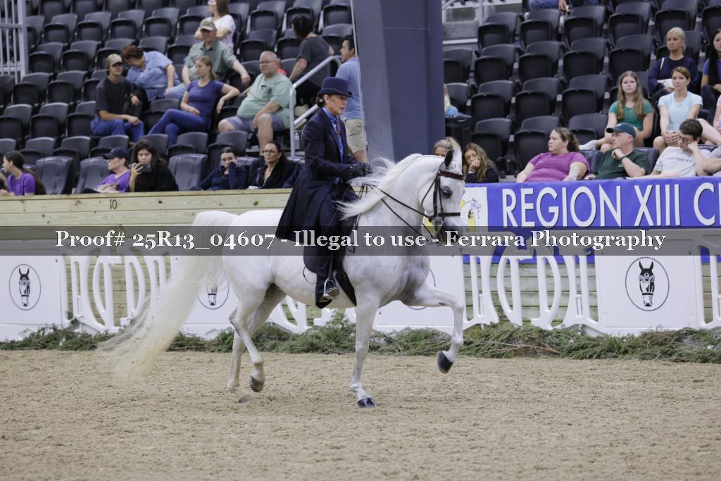 Proof 25R13_04607