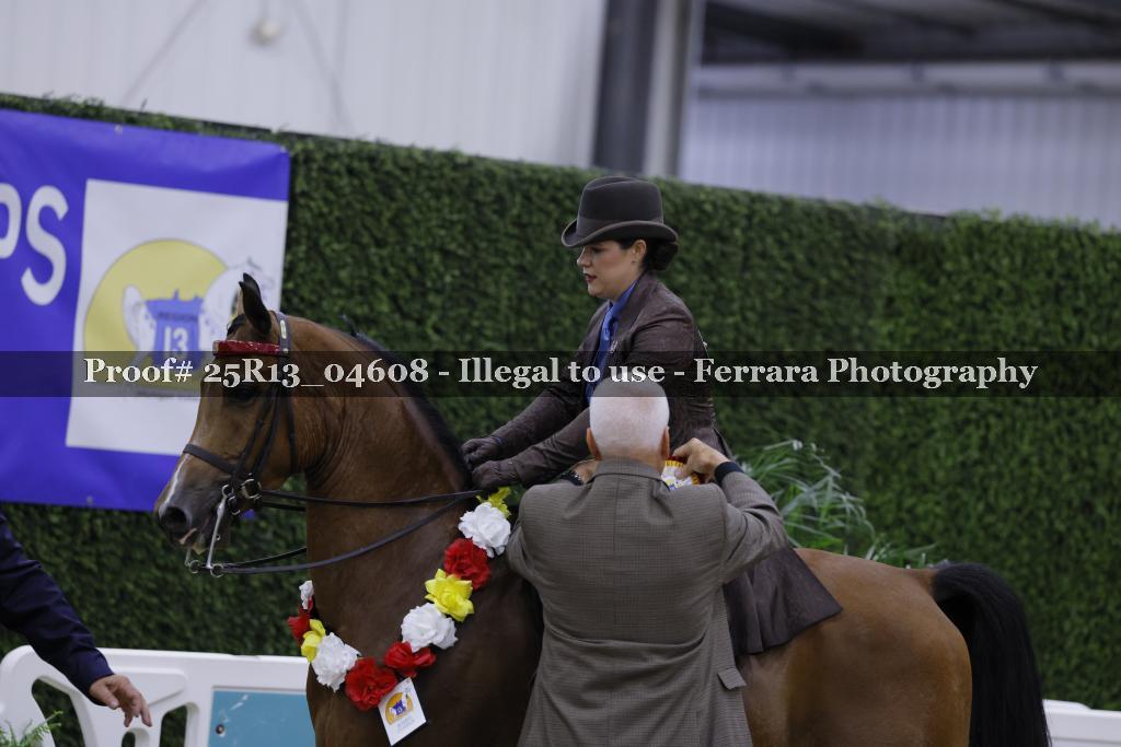 Proof 25R13_04608