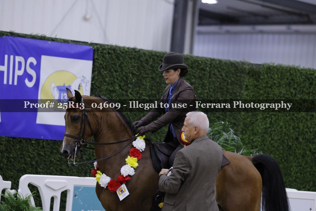 Proof 25R13_04609