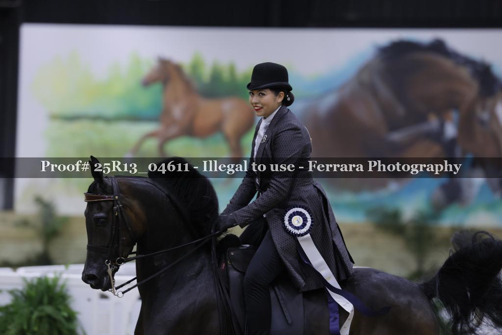 Proof 25R13_04611