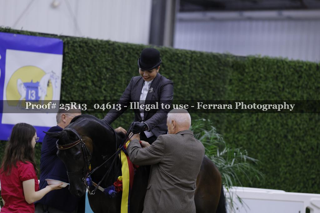 Proof 25R13_04613