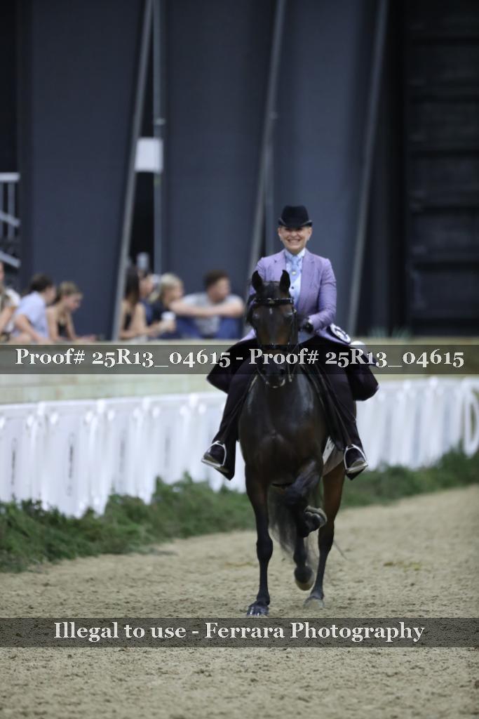 Proof 25R13_04615