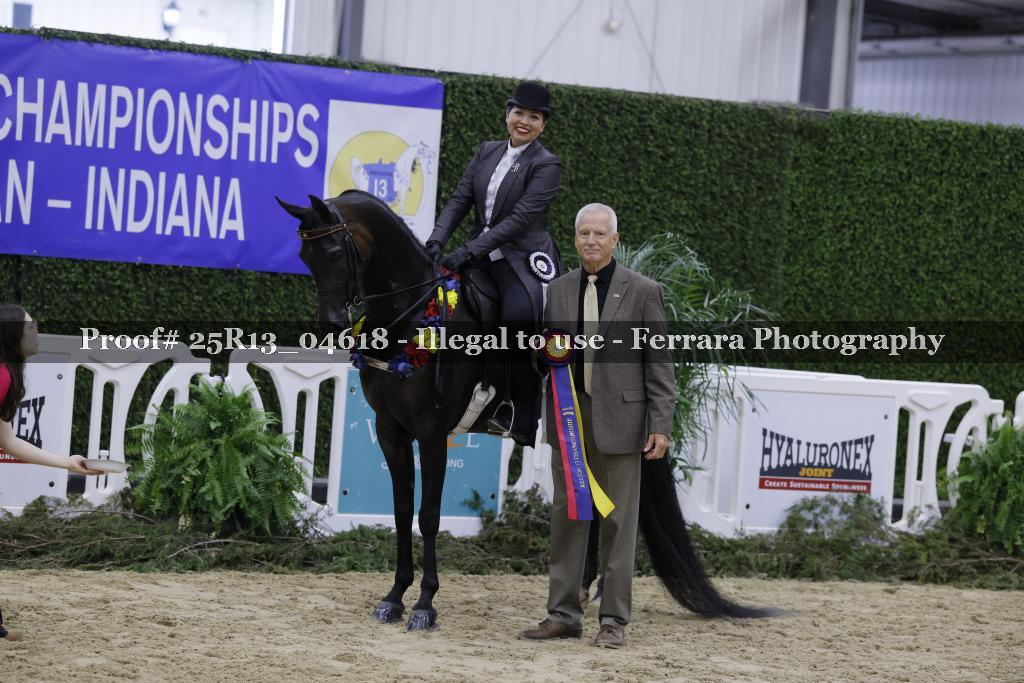 Proof 25R13_04618