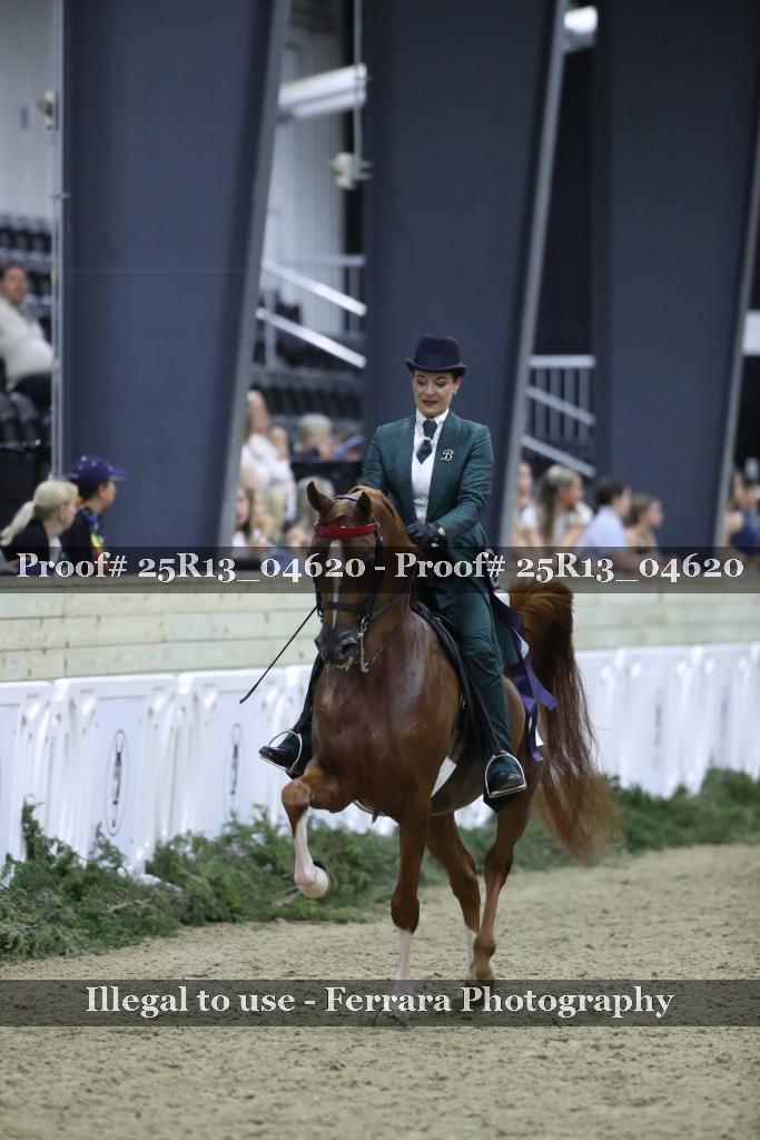 Proof 25R13_04620