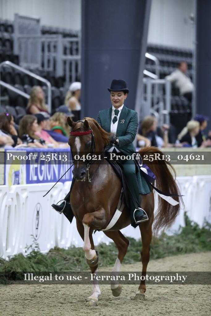 Proof 25R13_04621