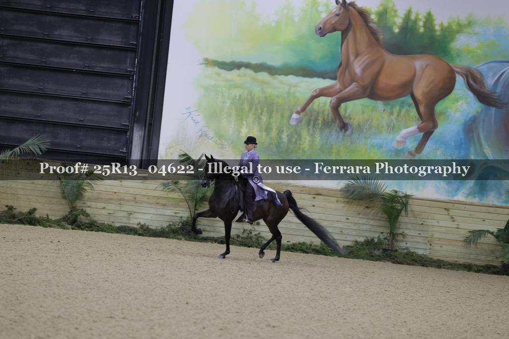 Proof 25R13_04622