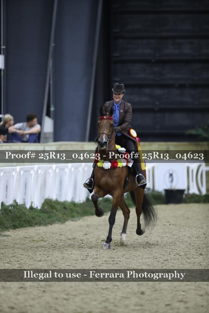 Proof 25R13_04623