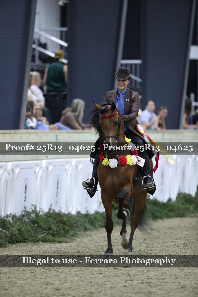 Proof 25R13_04625