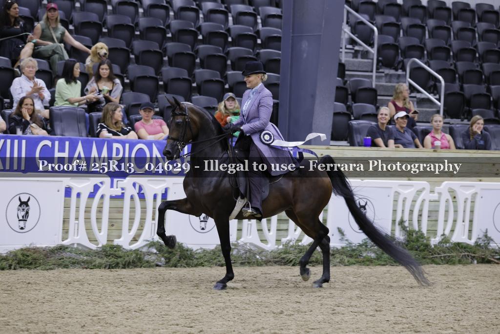 Proof 25R13_04629