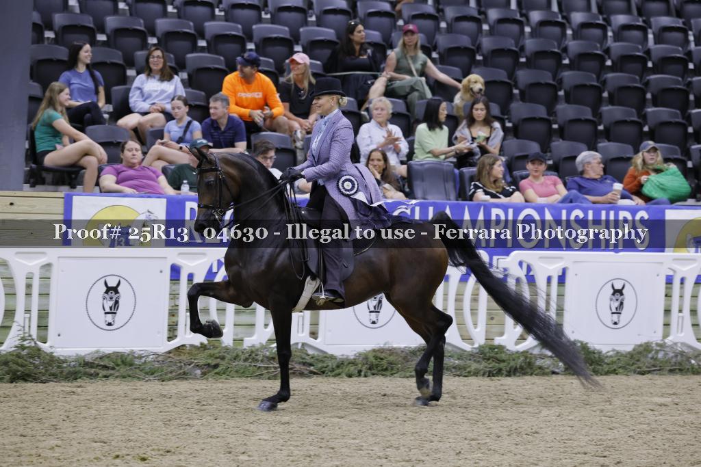 Proof 25R13_04630