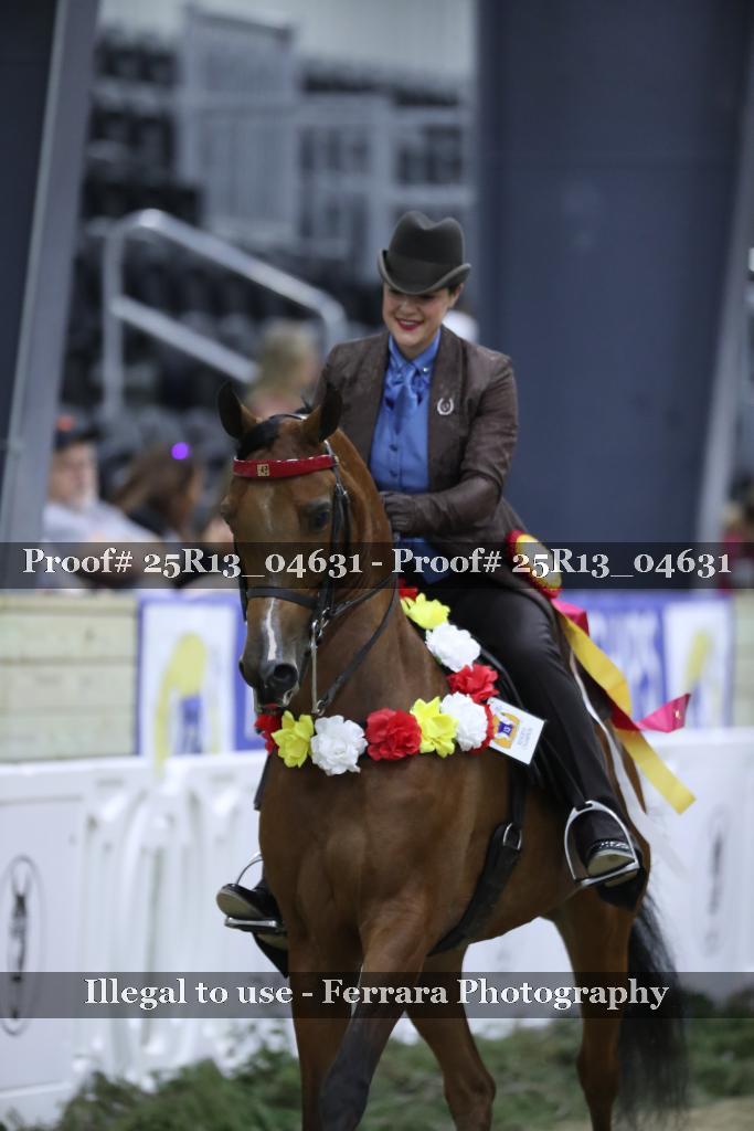 Proof 25R13_04631