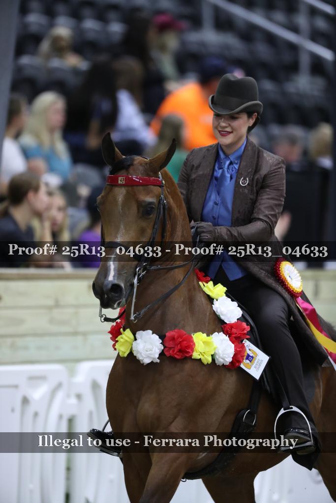Proof 25R13_04633
