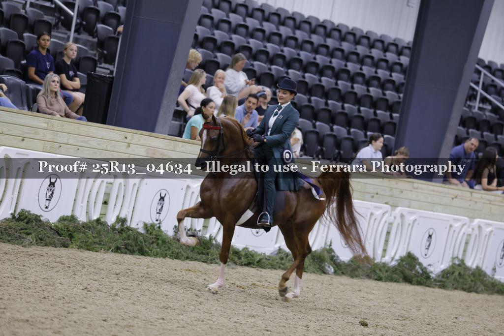 Proof 25R13_04634