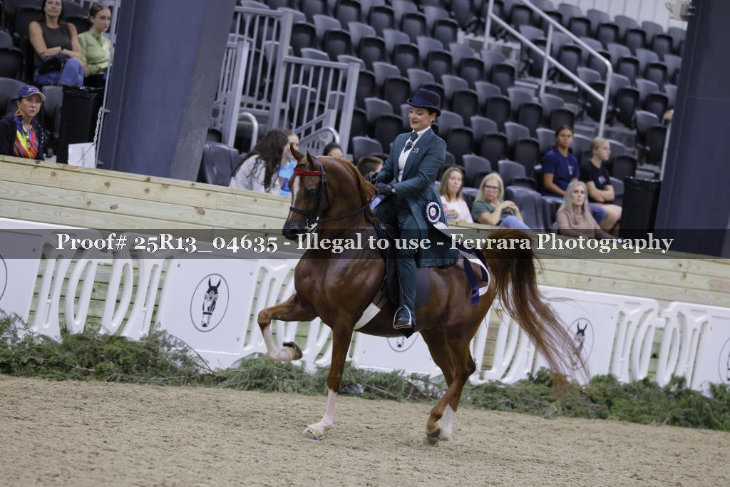 Proof 25R13_04635