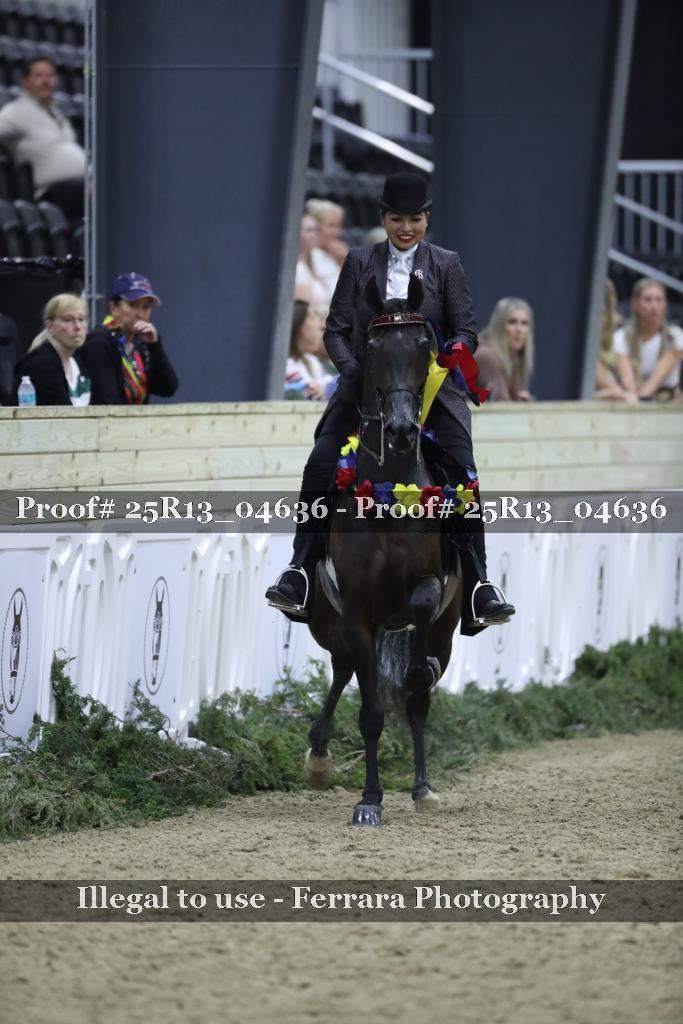 Proof 25R13_04636