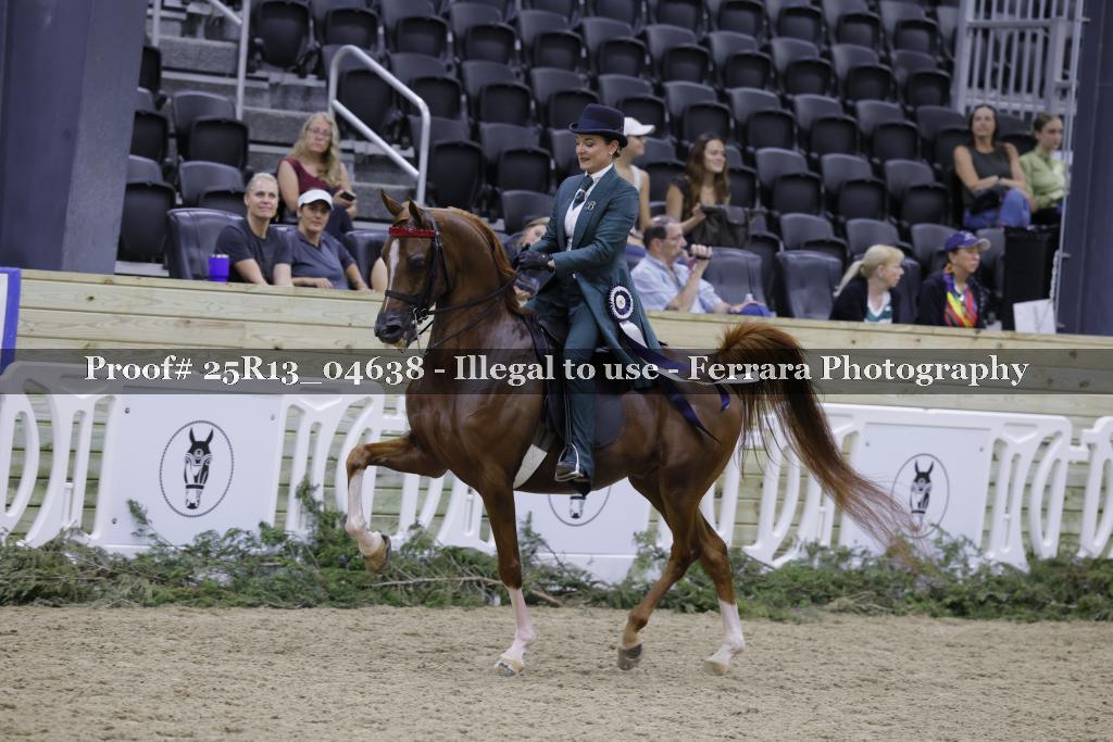 Proof 25R13_04638