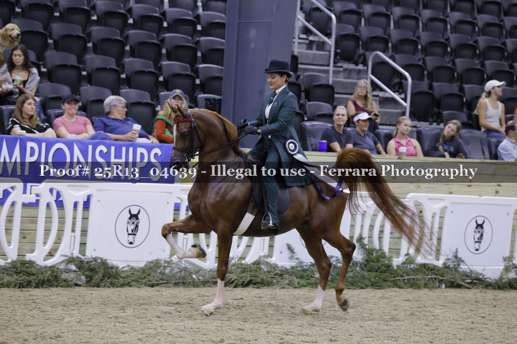 Proof 25R13_04639