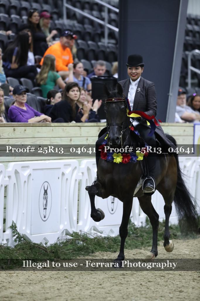 Proof 25R13_04641