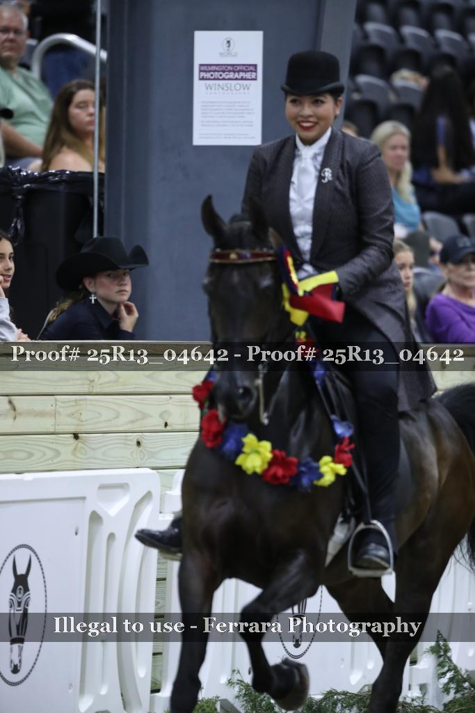 Proof 25R13_04642