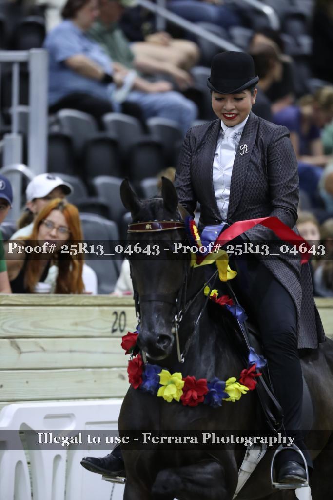 Proof 25R13_04643