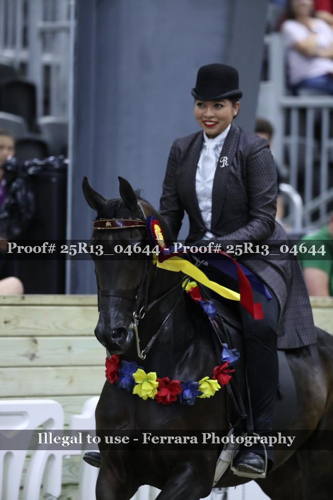 Proof 25R13_04644