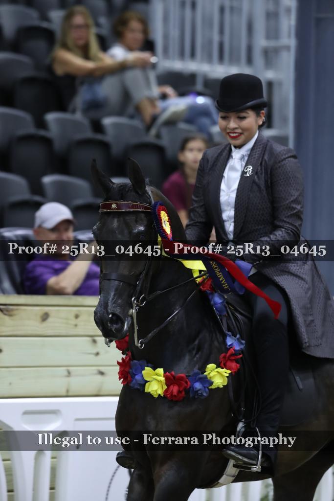 Proof 25R13_04645