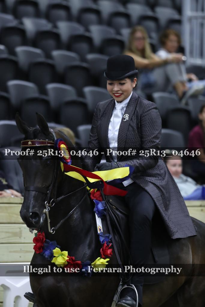 Proof 25R13_04646