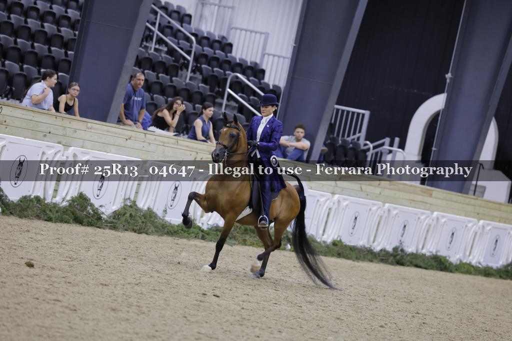 Proof 25R13_04647