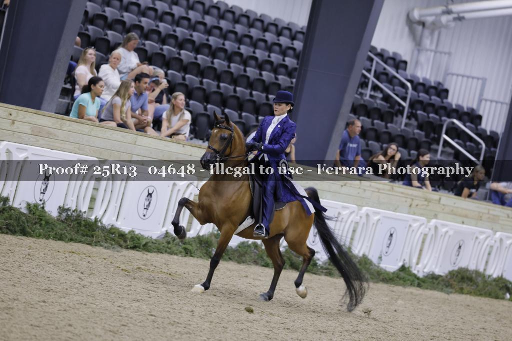 Proof 25R13_04648