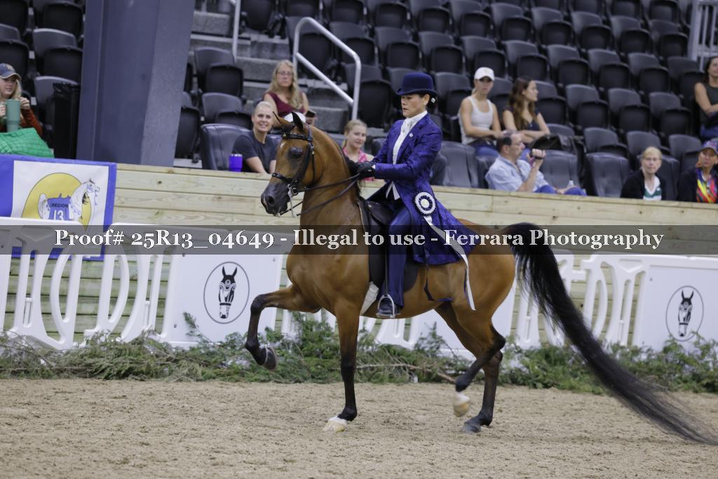 Proof 25R13_04649